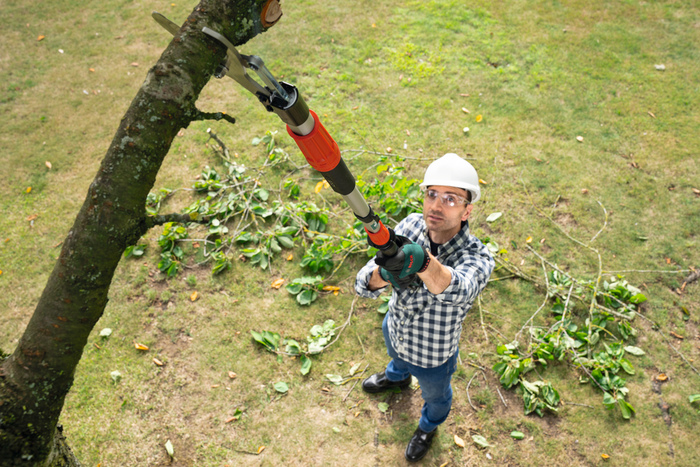 Bosch AdvancedPrune 18V-45 beskæresaks